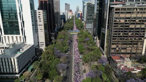 Drone-images-of-March-8th-Women's-Day-march,-on-Paseo-de-la-Reforma-with-Jacarandas-trees,-Mexico-City,-8-march-2023