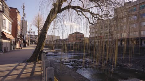 Willow-tree-hanging-over-Takayama-River-on-Warm-Afternoon