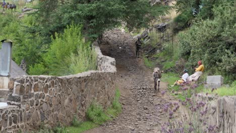 Man-in-Lesotho-Africa-runs-to-keep-up-his-donkey-trotting-on-road