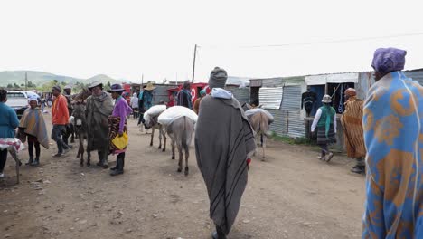 Cute-donkeys-haul-supplies-in-rustic-Lesotho-village-in-Africa