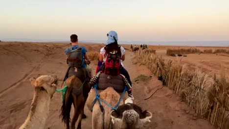 Tourists-camel-riding-in-Sahara-desert-in-slow-motion-at-sunset