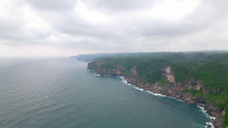 aerial-view-of-a-coastline-that-has-cliffs-with-dense-forest-in-cloudy-sky