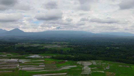 Timelapse-drone-shot-of-rural-landscape-with-view-of-rice-field-and-mountain-range-in-cloudy-weather