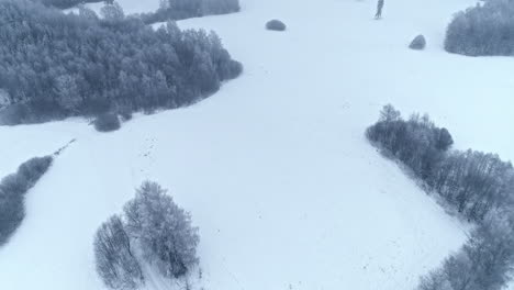Espectáculo-De-Drones-Dolley-De-Un-Prado-Cubierto-De-Nieve-En-Una-Mañana-Nublada