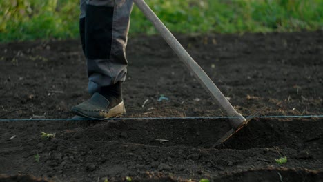Making-garden-rows-with-hoe.-Using-gardening-tools