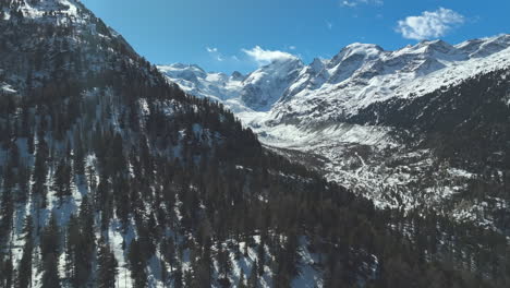 Bosque-De-Pinos-En-Una-Pared-De-Montaña-Con-Una-Gran-Vista-Sobre-El-Valle-De-Morteratsch-Suiza