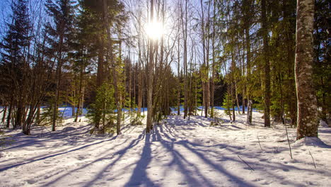 Verschneiter-Wald-Mit-Der-Sonne-Im-Hintergrund-Und-Den-Schatten-Der-Bäume-Auf-Dem-Boden