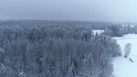 Drone-flight-over-snowy-forest-landscape-during-cloudy-day-in-Norway