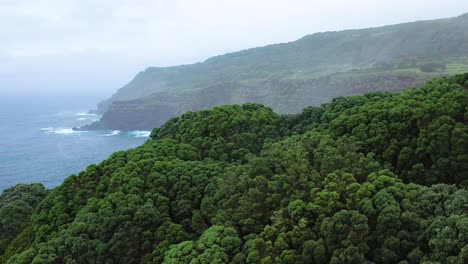 Luftaufnahme-Des-üppigen-Grünen-Waldes-Und-Des-Atlantischen-Ozeans-Auf-Der-Insel-Terceira,-Portugal