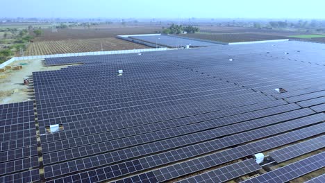 Blue-photovoltaic-solar-panels-mounted-on-land-or-farm-for-producing-clean-ecological-electricity-at-sunset