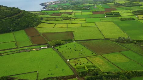 Luftaufnahme-Der-Landwirtschaftlichen-Landschaft-Mit-Flecken-Farbiger-Felder-Auf-Der-Insel-Terceira,-Azoren---Drohnenaufnahme