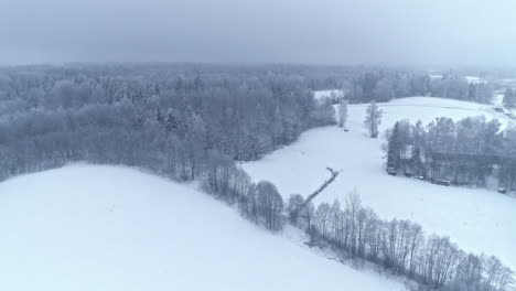 Wald-In-Weiß,-Bedeckt-Mit-Schnee-Und-Frost