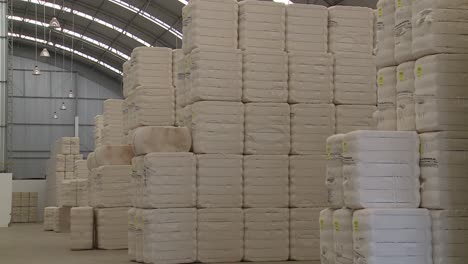 Lot-of-packages-of-cotton-stacked-inside-an-industrial-building-ready-for-exportation