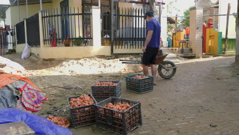 Man-places-crate-of-clay-figurines-into-wheelbarrow-and-transports-away,-Than-Ha-Hoi-An-Vietnam