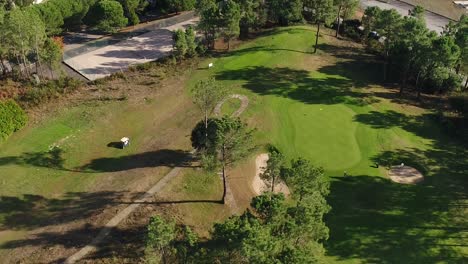 Car-Driving-in-Golf-Course-Aerial-View