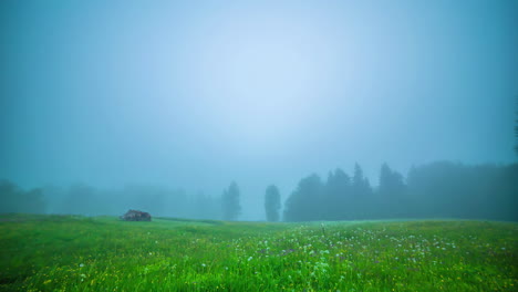 Zeitraffer-Von-Regen-Bis-Sonnenschein,-Panorama-Grünes-Malerisches-Feld-Mit-Blumen