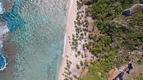 Topdown-View-Of-Crystal-Clear-Beach-Of-Playa-Fronton-With-Lush-Palm-Trees-And-Sheer-Cliffs-In-Las-Galeras-Samana,-Dominican-Republic