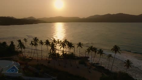 Row-of-palm-trees-on-a-tropical-beach-while-golden-sunset,-aerial-orbiting