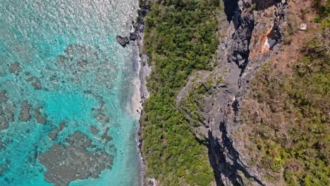 Luftaufnahme-Von-Oben-Nach-Unten-Mit-Wunderschönem-Karibischem-Meerwasser-Mit-Korallenriffen-Und-Palmen-Am-Sandstrand---Playa-Fronton,-Dominikanische-Republik