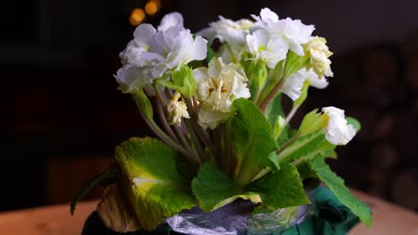Blume-Mit-Weißen-Blütenblättern-Dreht-Sich-Auf-Einem-Holztisch-Mit-Dunklem-Hintergrund