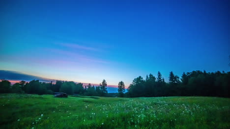 Wunderschöner-Zeitraffer-Von-Tag-Zu-Nacht,-Grüne-Landschaft-Mit-Holzhaufen