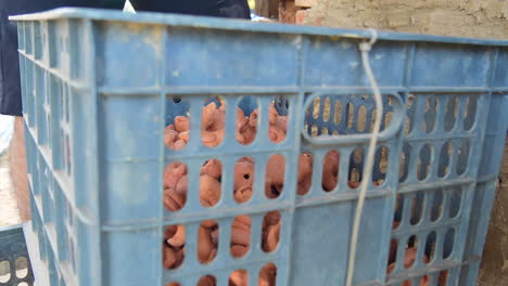 Low-angle-looking-through-crate-as-hand-lowers-clay-animal-figurines,-Than-Ha-Hoi-An-Vietnam