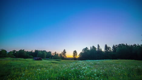 Sunrise-timelapse-in-a-fairytale-meadow-and-forest-Panorama,-dawn-to-day