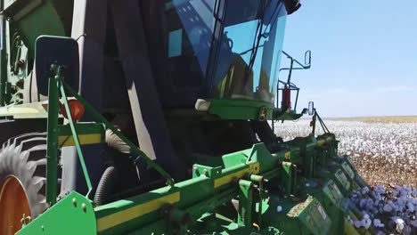 Tractor-Que-Avanza-Cosechando-Algodón-En-Un-Campo-De-Cultivo