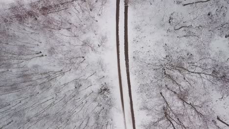 isolated-narrowed-off-road-street-pass-through-forest-during-winter-snow-landscape-aerial-top-down-view-from-above-climate-change-concept