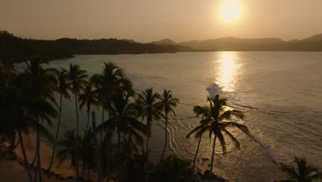 Drohnenaufnahme-Eines-Tropischen-Strandes-Mit-Palmen-Und-Ruhigem-Meer-Während-Der-Goldenen-Stunde-In-Der-Dominikanischen-Republik