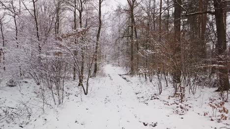 POV-walking-in-snow-path-after-a-snowfall-in-lonely-forest