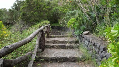 Man-Following-A-Mountain-Path-With-Stairs-Made-Of-Rock-And-Wooden-Railing,-Hiking,-Green-Forest
