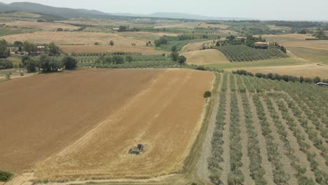 Luftbilder-Der-Toskana-In-Italien,-Bewirtschaftete-Felder-Im-Sommer