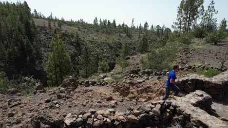Man-In-A-Blue-T-Shirt-Running-On-A-Volcanic-Landscape-Path,-Green-Forest,-Tenerife,-Spain