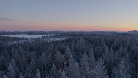 Sunrise-aerial-view-slowly-reversing-over-frozen-Norbotten-Lapland-winter-forest-mountains-landscape