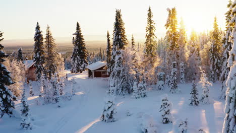 Aerial-view-across-glowing-morning-sunrise-shining-through-snow-covered-woodland-trees-and-idyllic-rural-cabin