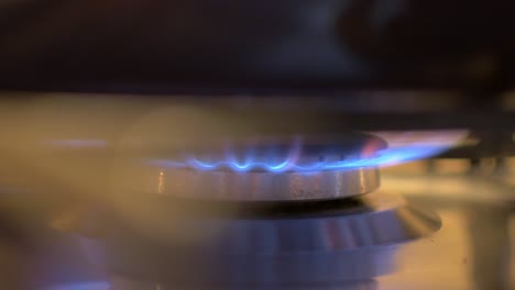 Close-up-of-blue-gas-flame-burner-cooking-under-a-pan