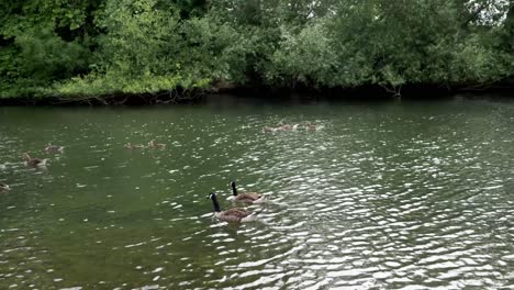 Purley-on-River-Thames-in-West-Berkshire