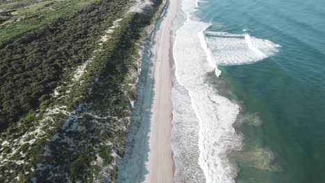 Moving-drone-shot-of-Magenta-Beach-as-the-waves-crash-along-the-shore