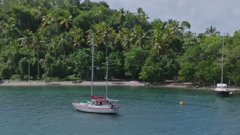 Aerial-view-of-sailing-boat-arriving-private-island-with-palm-trees-on-Dominican-Republic