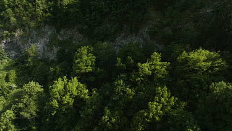 Montaña-Rocosa-Empinada-Con-Densos-árboles-Forestales-En-El-Valle-De-Bakuriani,-Distrito-De-Borjomi-De-Georgia