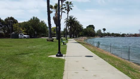 Morning-Walk-On-Clear-Blue-Lagoon,-Under-Palm-Trees,-Refreshing-Air,-San-Mateo-Park,-California
