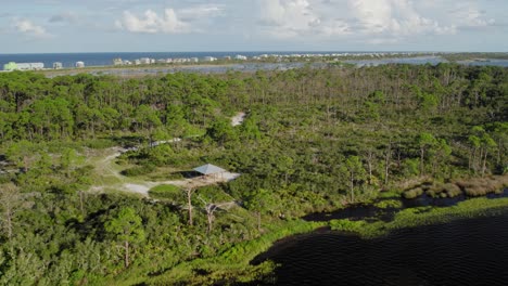 Aerial-footage-of-a-dense-natural-Florida-forest-with-a-park,-gazebo-and-trails-in-the-middle