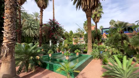 Beautiful-botanical-garden-with-palm-trees-and-water-feature-in-sun