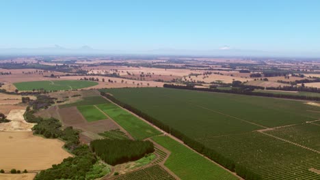 Aerial-View-Of-Quino-In-Malleco-Valley,-Wheat-Plantations-With-Volcanoes-In-Background