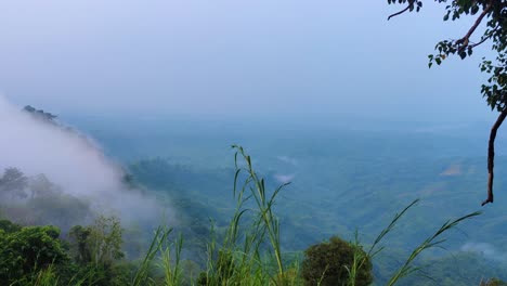 Looking-down-into-a-moody-and-foggy-remote-valley-with-forest-everywhere-and-fog-slowly-moving-down-with-grass-and-trees-in-the-foreground-in-Bandarban,-Bangladesh