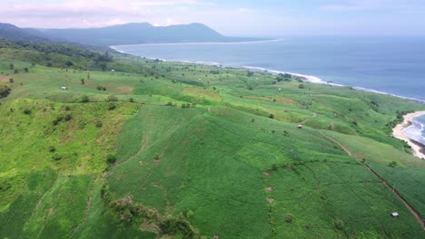 Drone-Shot-of-Clean-Peaceful-Hidden-Beach-Facing-the-Ocean-With-Agricultural-Fields-Of-Corn-Maize-Rice-with-Mountain-Background-In-Sumbawa-Island,-Indonesia