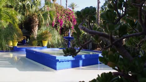 4K-Footage-of-the-botanical-garden-Jardin-Majorelle-in-Marrakesh-or-Marrakech-in-Morocco