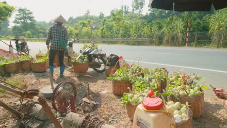 Arbeiter-Bewegt-Schwere-Körbe-Mit-Frisch-Gepflückten-Puddingäpfeln-Herum,-Während-Ein-Anderer-Arbeiter-Eine-Pause-Macht,-Bezirk-Chi-Lang,-Provinz-Lang-Son,-Vietnam