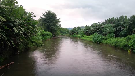 Drone-Siguiendo-La-Corriente-Del-Río-Con-Una-Plantación-De-Plátanos-En-La-Jungla-De-La-Isla-De-Sumbawa,-Indonesia